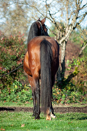 143Kaluha