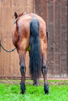 39Sinful