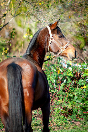 144Kaluha