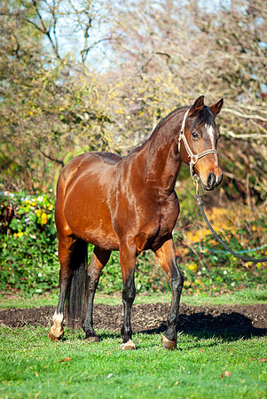 140Kaluha
