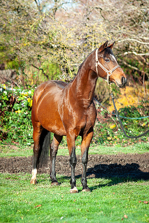 139Kaluha