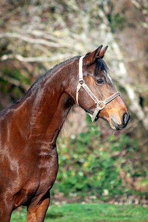 142Kaluha